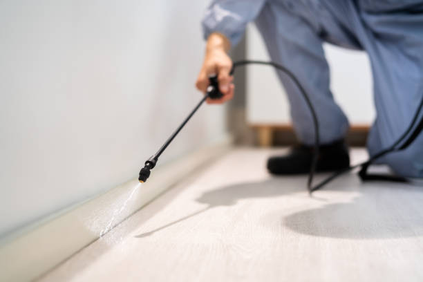 Licensed Termite Control service in Juneau, AK - Nex Pest Control