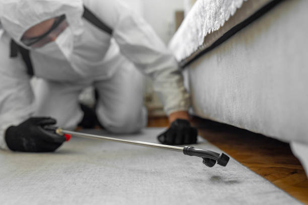 Professional Termite Control technician working in Juneau, AK