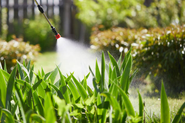 24/7 Emergency Termite Control experts in Juneau, AK