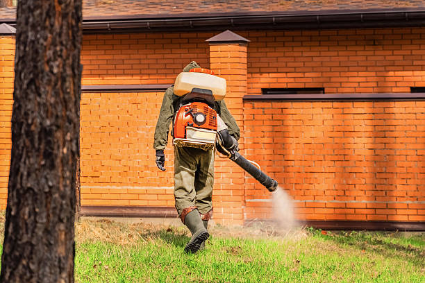 Top rated local Termite Control specialists in Juneau, AK